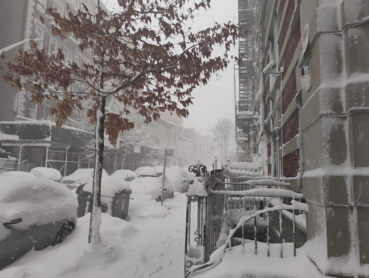 Photo mid snowstorm taken on 147st. 